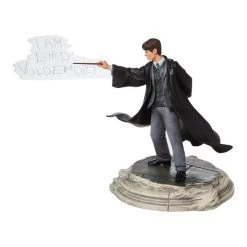 Wizarding World Of Harry Potter Tom Riddle Figurine