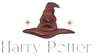 Professional Harry Potter Product Store
