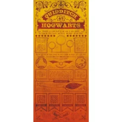 FANATTIK Harry Potter Quidditch Lithograph 42 X 19 Cm
