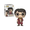 FUNKO Harry Potter Pop Chamber Secrets 20th Anniversary Harry Pop Figures