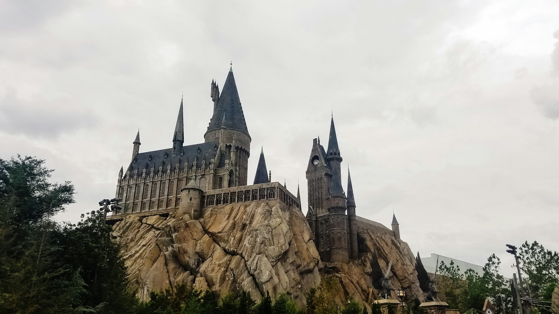 Professional Harry Potter Product Store -Professional Harry Potter Product Store kt likes coffee XO8Xk1fQS1g unsplash