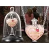Noble Collection Harry Potter Love Potion Pendant And Display