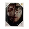 SD Toys Harry Potter Poster Harry & Voldemort Glass 30 X 40 Cm
