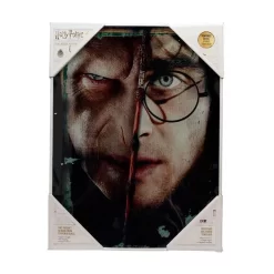 SD Toys Harry Potter Poster Harry & Voldemort Glass 30 X 40 Cm