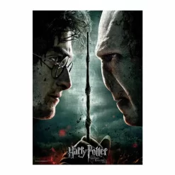 SD Toys Harry Potter Puzzle Harry Vs Voldemort