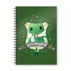 SD Toys Harry Potter Notebook Slytherin Kids